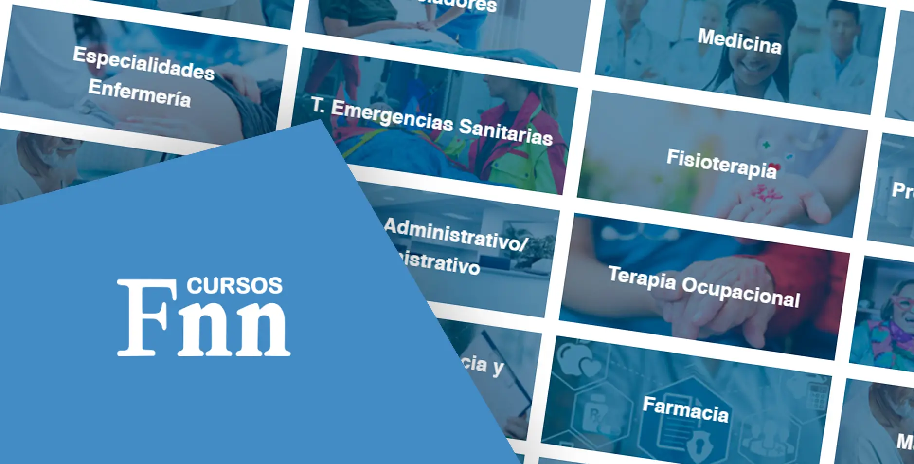 Cursos FNN